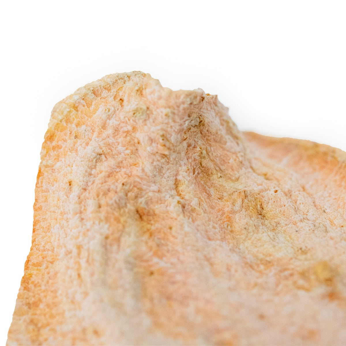 Sweet Potato Dog Chips | 5 oz | Dogalicious