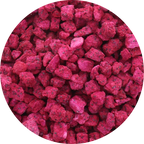 Freeze Dried Organic Red Dragon Fruit