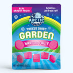 Freeze Dried Natural Red Dragon Fruit Big Cubes
