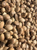 Ripkitty Premium Toasted Organic Hemp Seeds | High Protein Superfood
