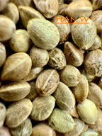 Ripkitty International & Domestic Raw Viable Hemp Seeds for Poultry, Equine Feeding, & Livestock