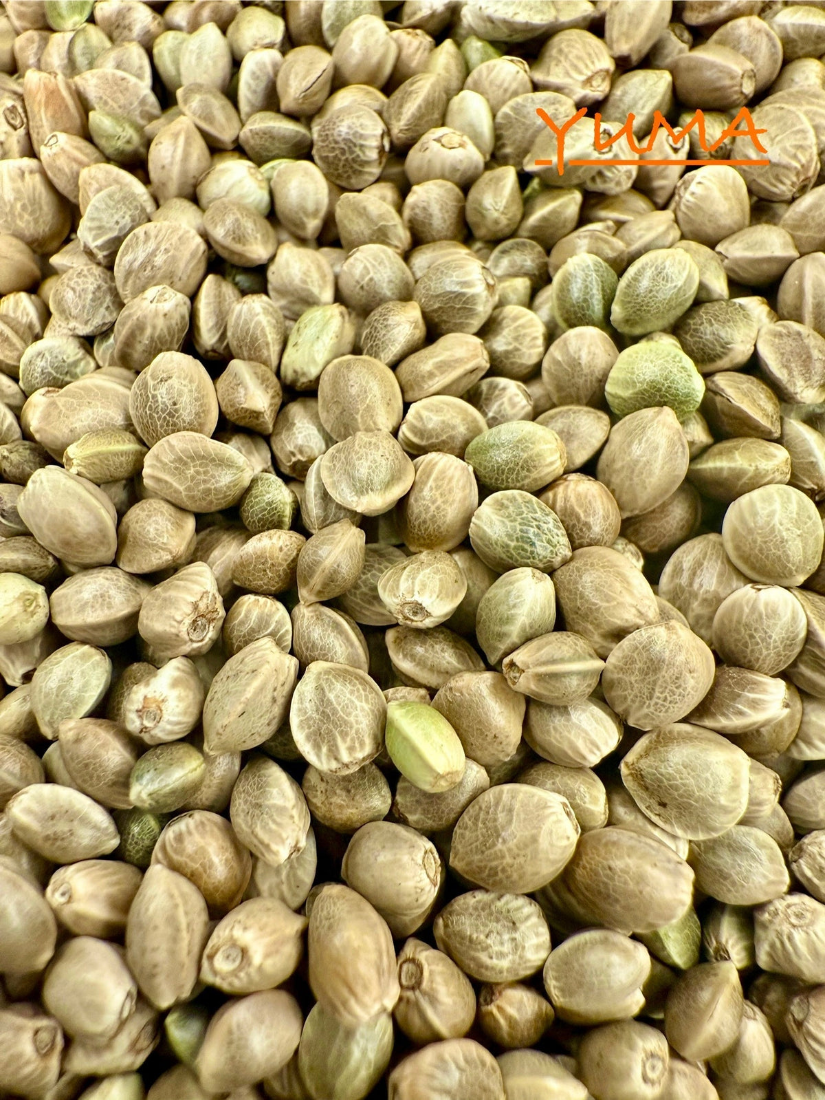 Ripkitty International & Domestic Raw Viable Hemp Seeds for Poultry, Equine Feeding, & Livestock