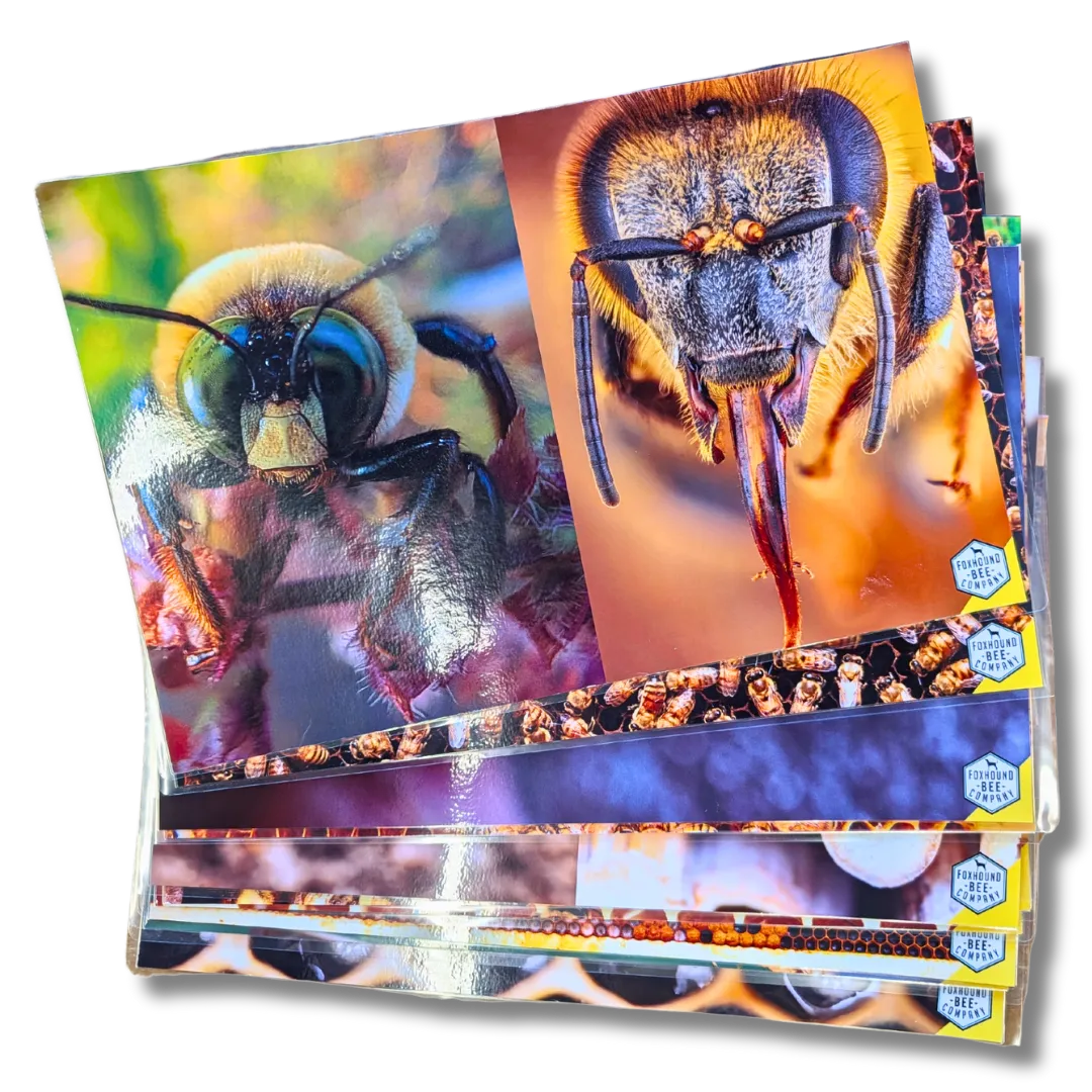 Educational Beekeeping Cards