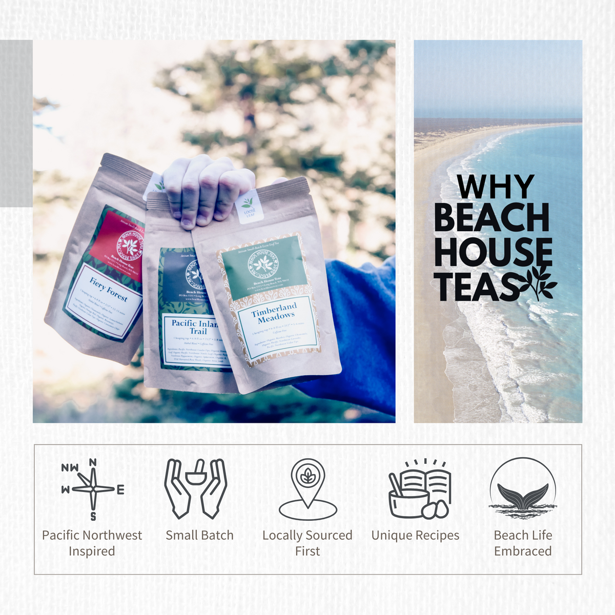 Hand holding beach house teas with scenic ocean view and brand description.