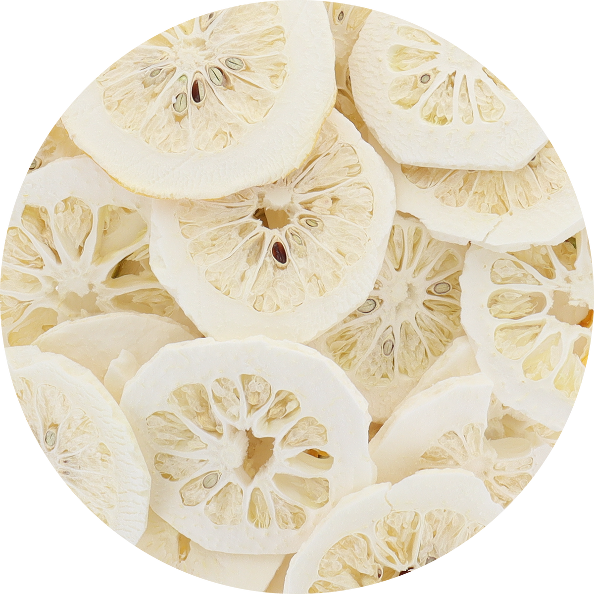 Freeze Dried Etrog Slices