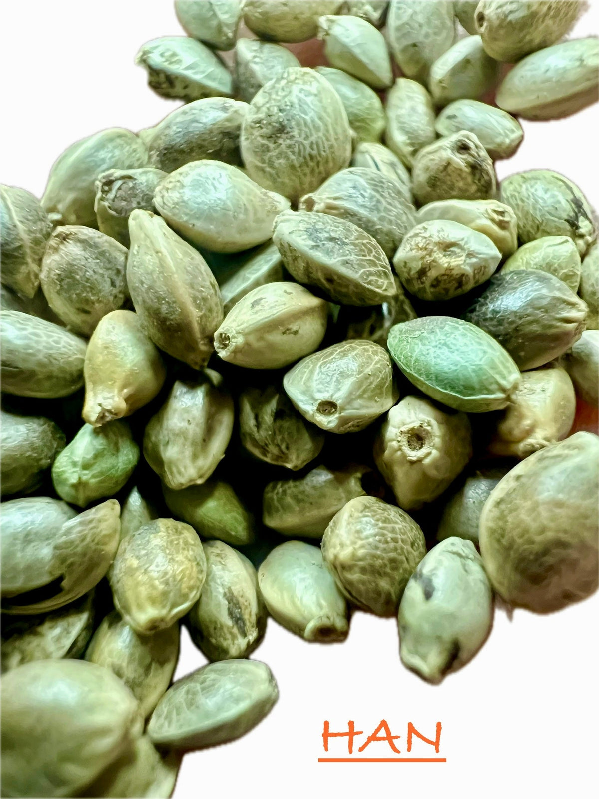 Ripkitty International & Domestic Raw Viable Hemp Seeds for Poultry, Equine Feeding, & Livestock