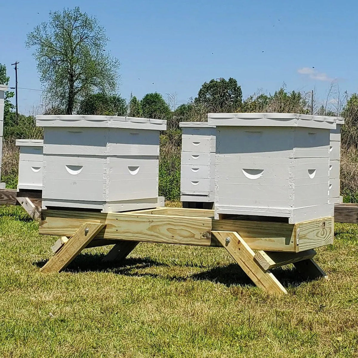Folding Three Hive Stand