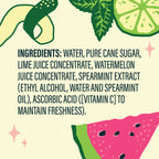 Fresh & Fruity Mojito Cocktail & Mocktail Mixer