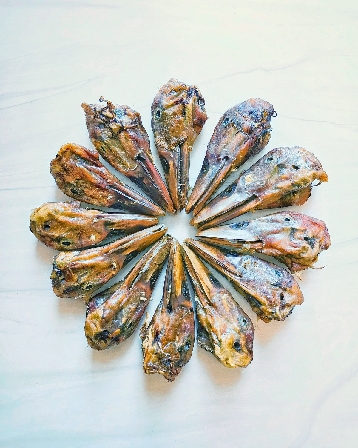 Duck Heads (ABF)