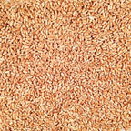 Organic Hard Red Winter Wheat | Pack of 2 | 2 lb | Non-GMO | Grain Place Foods