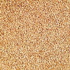 Organic White Winter Wheat | 2 lb | Pack of 2 | Non-GMO | Grain Place Foods