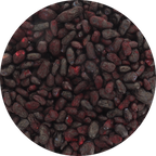 Freeze Dried Organic Honeyberry