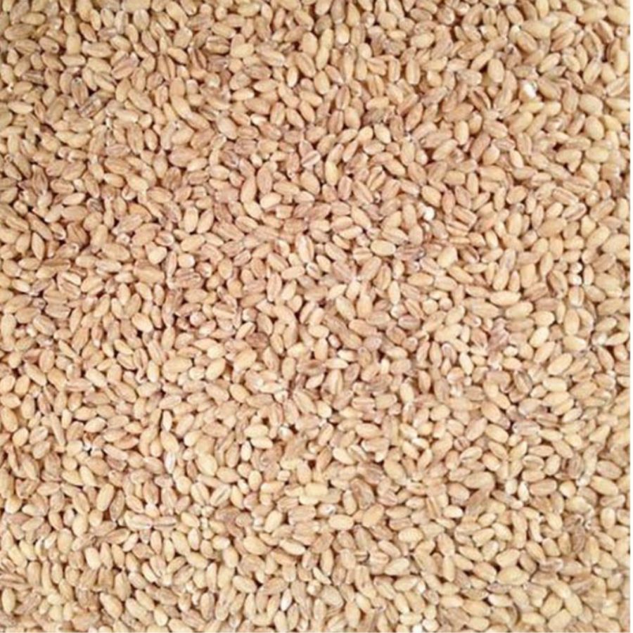 Organic Hulled Barley | 2 lb | Pack of 4 | Non-GMO | Grain Place Foods