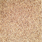 Organic Hulled Barley | 2 lb | Pack of 4 | Non-GMO | Grain Place Foods