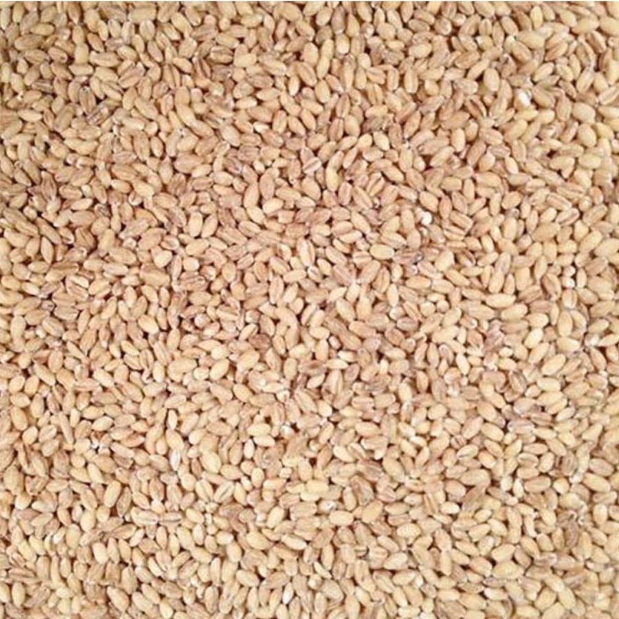 Organic Hulled Barley | 5 lb | Pack of 6 | Non-GMO | Shipping Included | Grain Place Foods