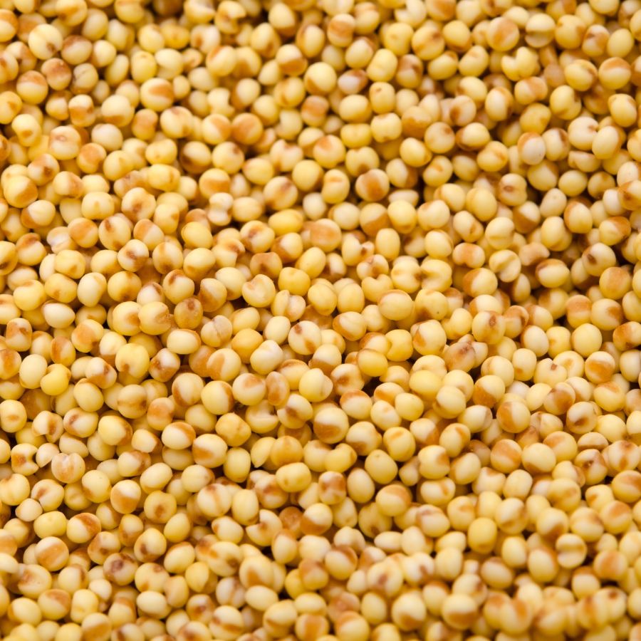 Organic Hulled White Proso Millet | 2 lb | Pack of 4 | Non-GMO | Shipping Included | Grain Place Foods