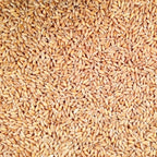 Organic Hulled Spelt | 2 lb | Pack of 2 | Non-GMO | Grain Place Foods