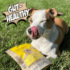 Allergy-Friendly Dog Treats, 6-Pack