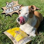 Crunchy Dog Biscuit Bundle, 4-Pack