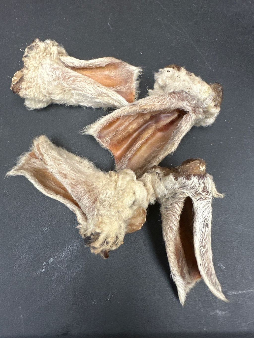 Lamb Ears (Furry & Non Fur)