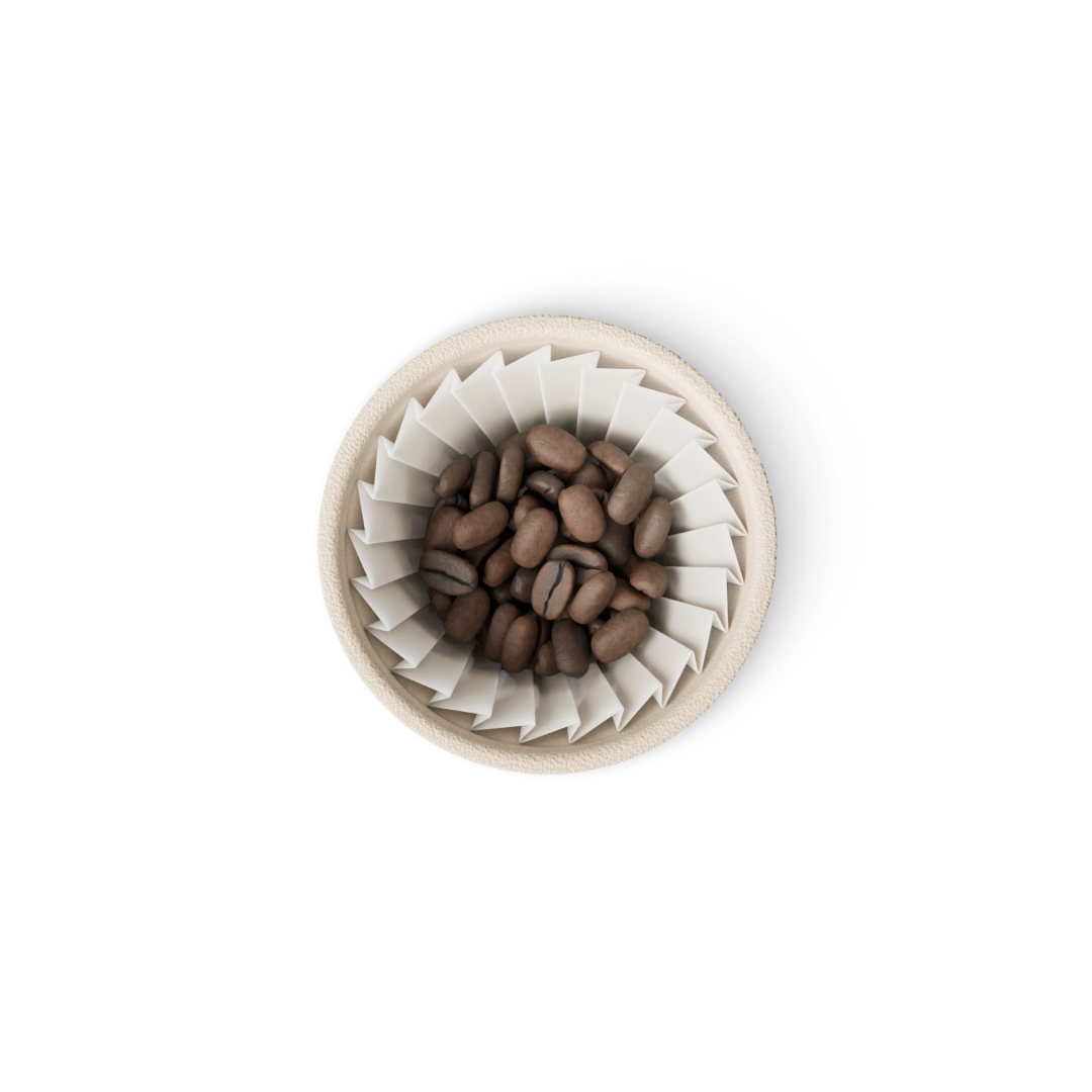 Hoodoo Chicory Infused