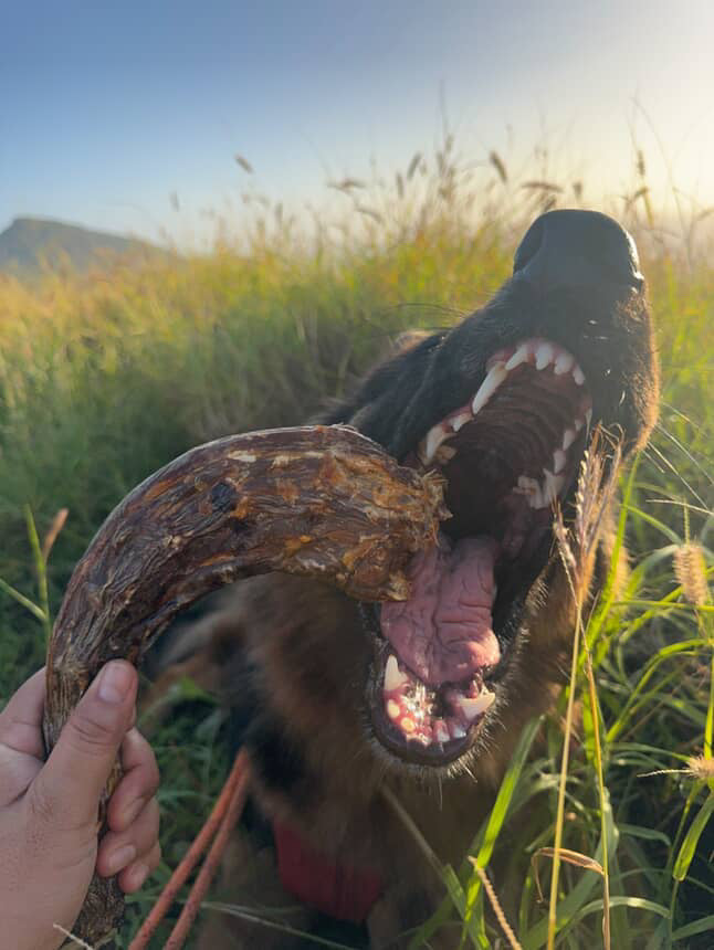 Turkey Neck