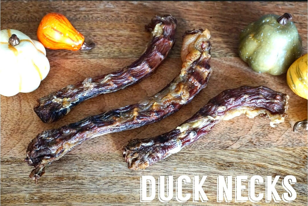 Duck Necks