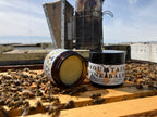 Mountain Pine Balm - Forest & Hive Botanical Balm