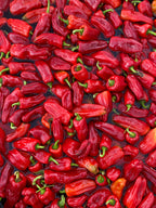 Aji Peach