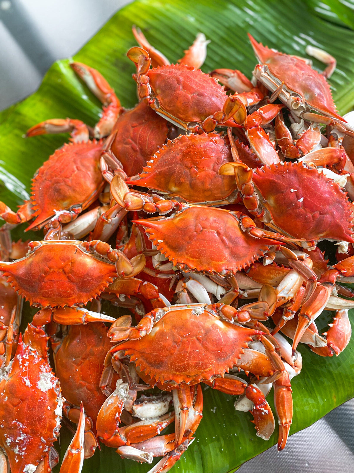 Cooked Crab & Shrimp Seafood Platter — 24 Blue Crabs + 2 lbs Jumbo Shrimp
