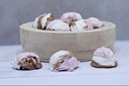 Freeze Dried Neapolitan Ice Cream Bites