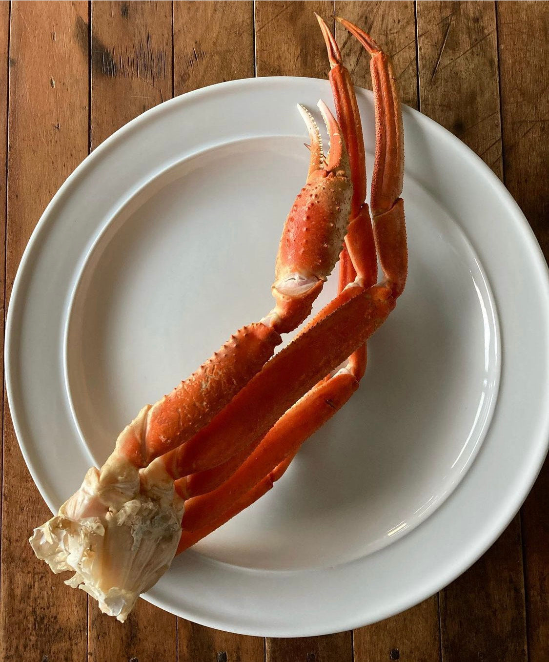 Jumbo Alaskan Snow Crab Clusters 8/10