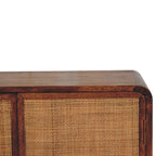 Larissa 2 Door Solid Mango Wood Cabinet – Chestnut Finish