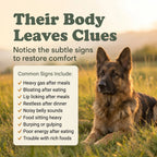 Digestion & Enzymes Canine Powder | 30 Scoops | LivHerbals, Inc.