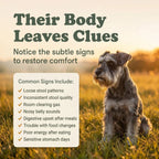 Gut & Flora Canine Powder | 30 Scoops | LivHerbals, Inc.