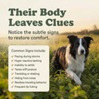 Calm Support Soft Chews for Dogs | 60 Chews - 6.35 oz | LivHerbals, Inc.
