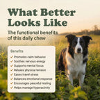 Calm Support Soft Chews for Dogs | 60 Chews - 6.35 oz | LivHerbals, Inc.