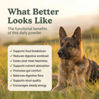 Digestion & Enzymes Canine Powder | 30 Scoops | LivHerbals, Inc.