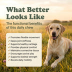 Hip & Joint Support Soft Chews for Dogs | Pack of 3 | 60 Chews - 6.35 oz | LivHerbals, Inc.