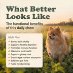 Multivitamin Support Soft Chews for Dogs | Pack of 3 | 60 Chews - 6.35 oz | LivHerbals, Inc.