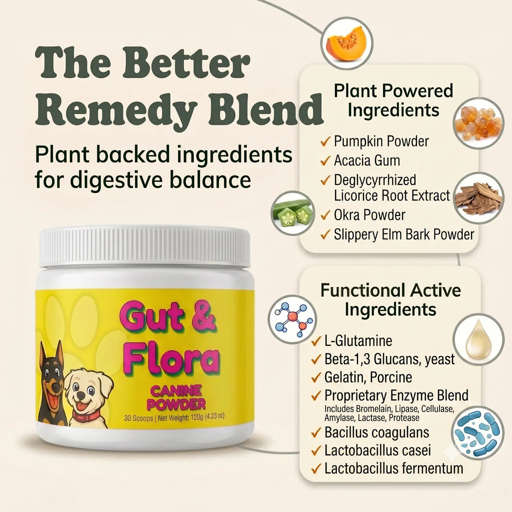 Gut & Flora Canine Powder | 30 Scoops | LivHerbals, Inc.