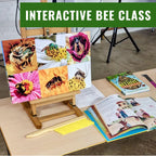 Interactive Bee Class