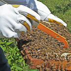 J Hook Orange Hive Tool