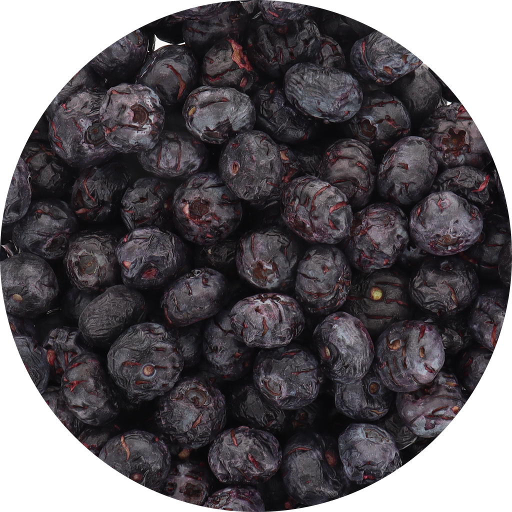 Freeze Dried JUMBO Blueberries