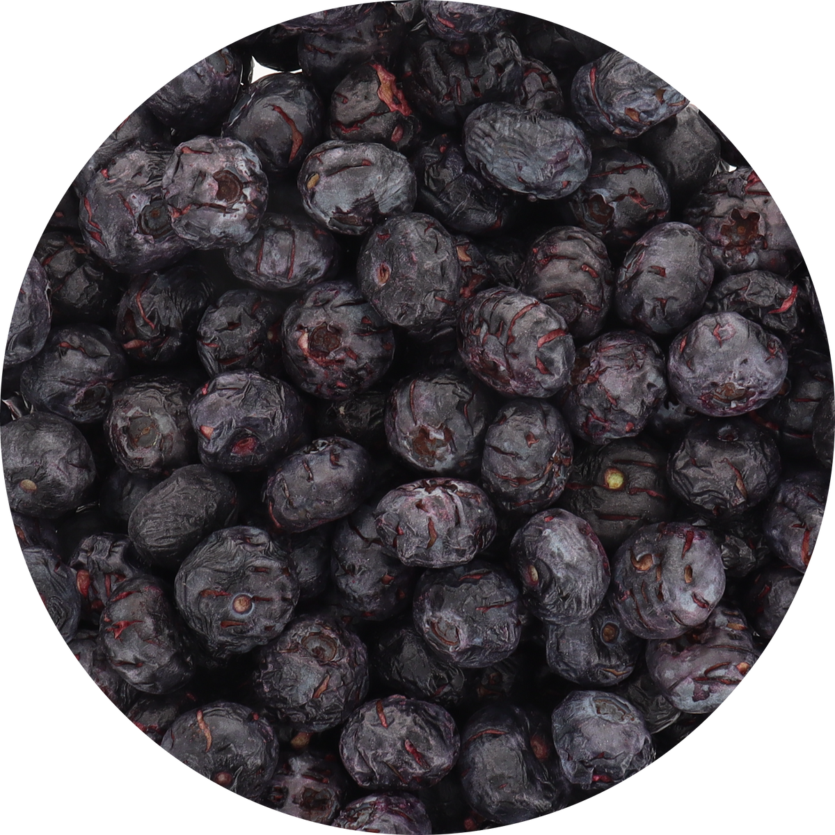 Freeze Dried JUMBO Blueberries