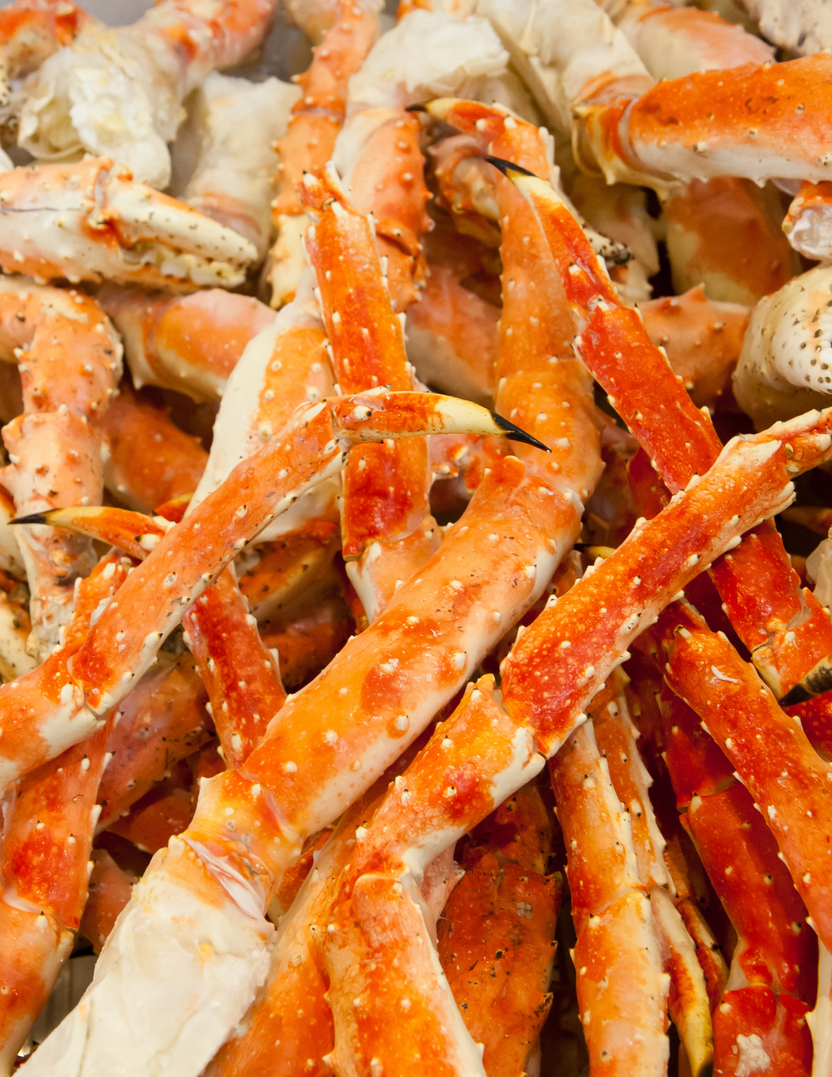 King Crab Legs 14/17 — Extra Large | 4 lb Increments | Fresh Seafood Orlando