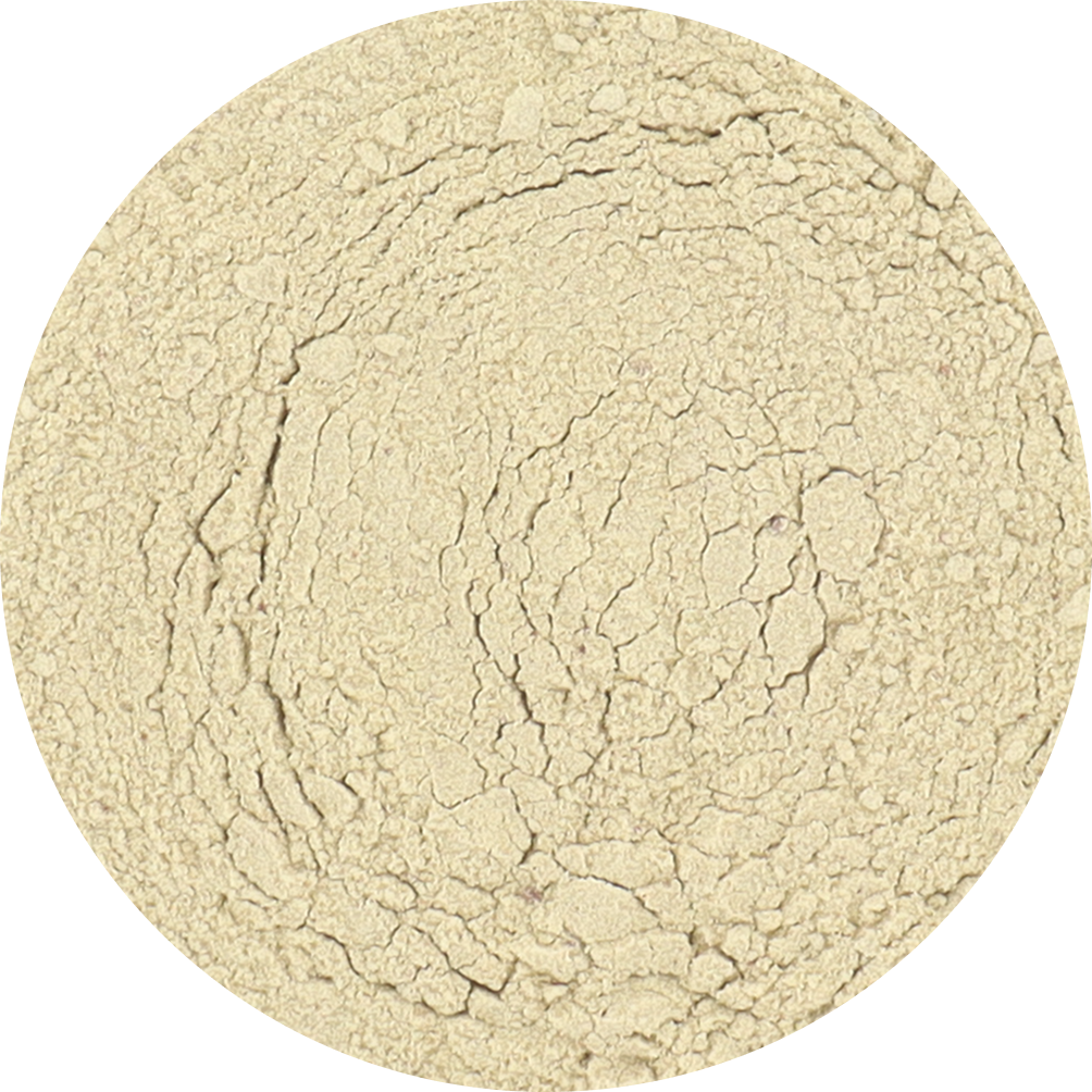 Freeze Dried Green Kiwi Powder