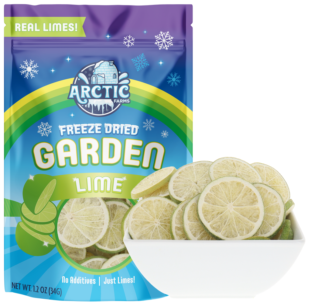 Freeze Dried Lime Slices