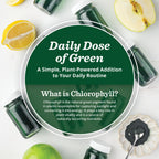 PuriVibe Chlorophyll & Lemon Juice Shots