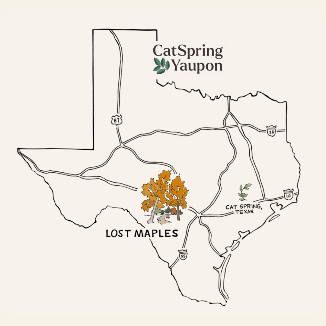 Lost Maples Medium Roast Yaupon – Medium Yaupon Tea  –  Loose Leaf (2oz)